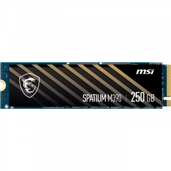 اس اس دی M.2 ام اس آی مدل Spatium M390 ظرفیت 250 گیگابایت